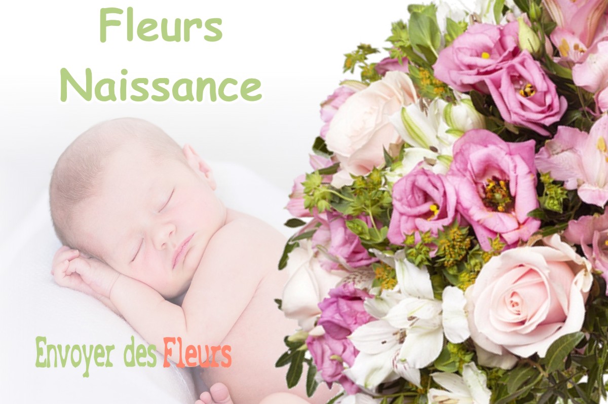 lIVRAISON FLEURS NAISSANCE à CHAVANOZ